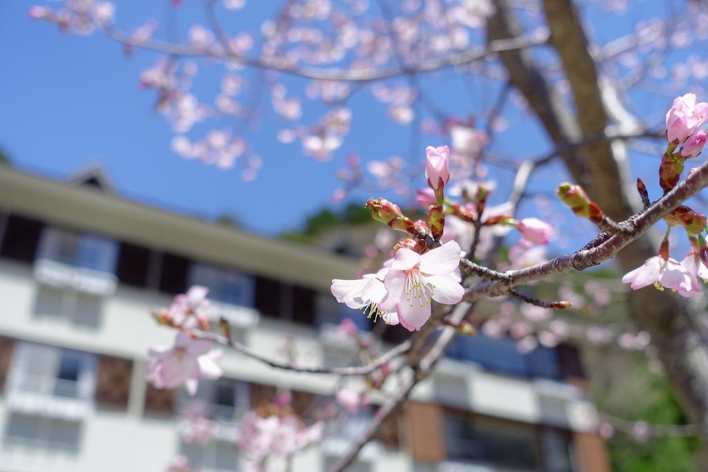 Kamikochi Lemeiesta Hotel Мацумото Екстер'єр фото